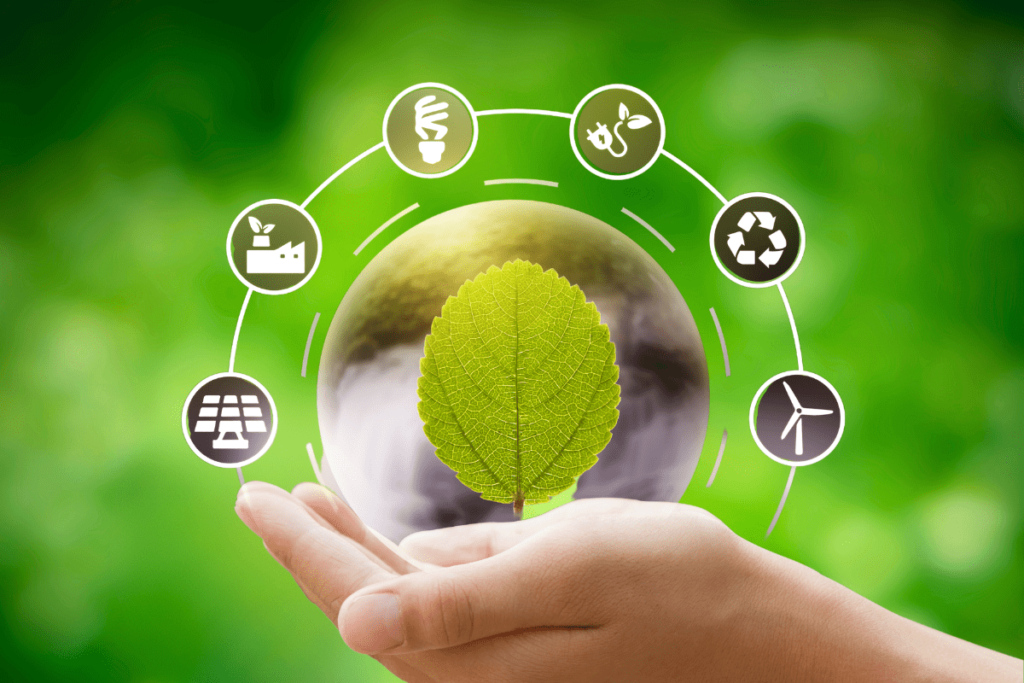 Eco-Friendly Living: Small Changes with Big Impact
